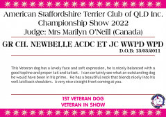 Class 12 - Gr Ch. Newbelle Acdc ET JC WWPD WPD.png